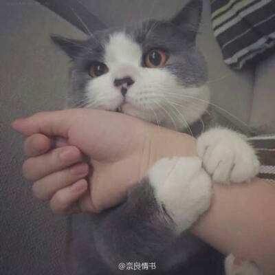 精卫·万事有不平